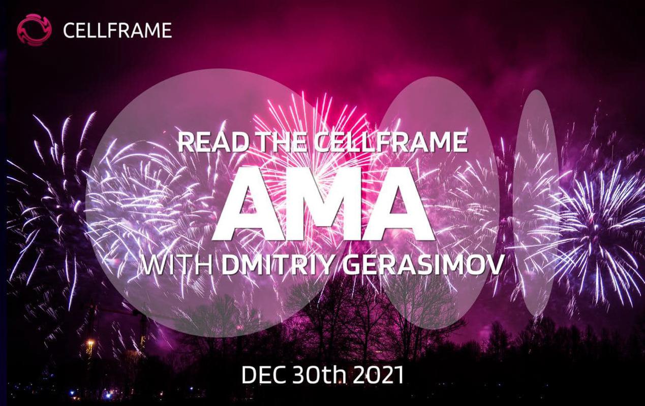 AMA, December 30: the achievements of the year 2021 preview image