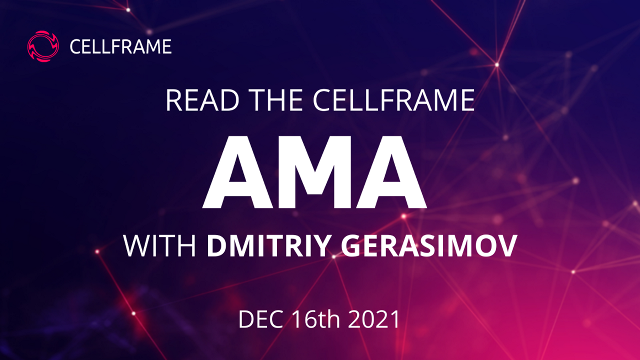 AMA, December 16: the CellVerse development and the updated roadmap of the project preview image