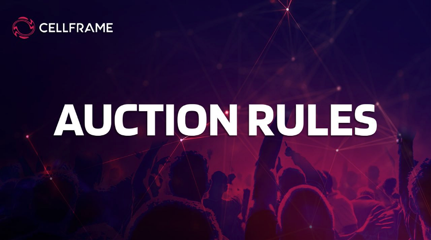 Auction rules preview image