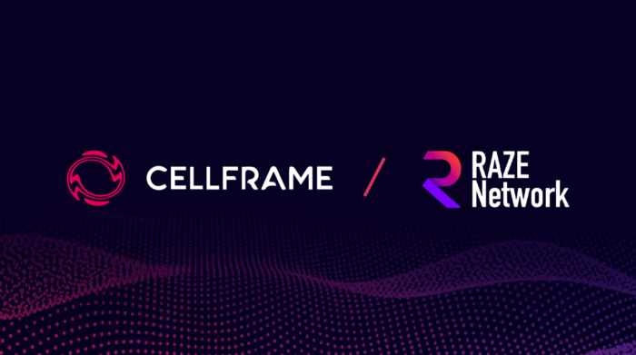 Cellframe Partners with Raze Network preview image