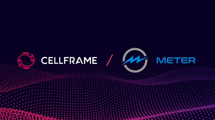 Cellframe Partners with Meter preview image