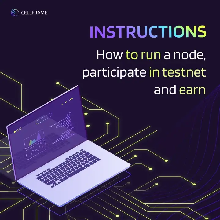 How to Run a Node, Participate in Testnet and Earn: Key Points preview image