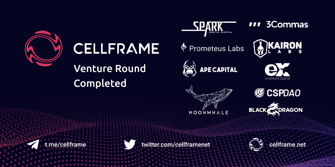 Cellframe Completes $900k Venture Round preview image
